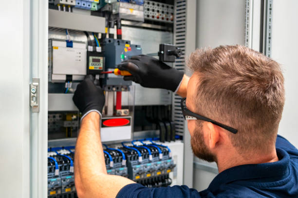 Best Affordable Electrician  in Lake Summerset, IL